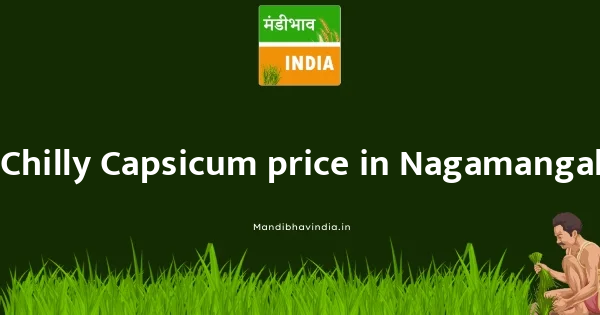 Chilly Capsicum price